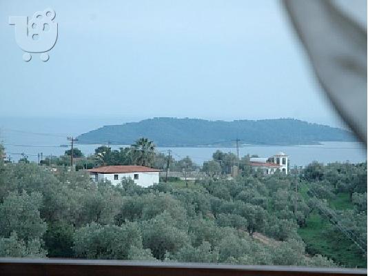 PoulaTo: VILLA SKIATHOS