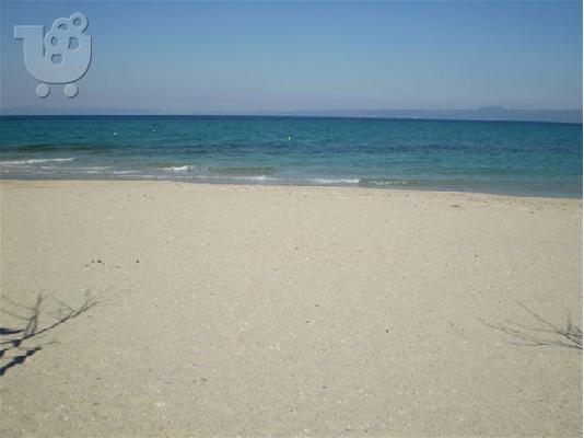 ΕΞΟΧΙΚΗ ΜΕΖΟΝΕΤΑ ΠΕΥΚΟΧΩΡΙ