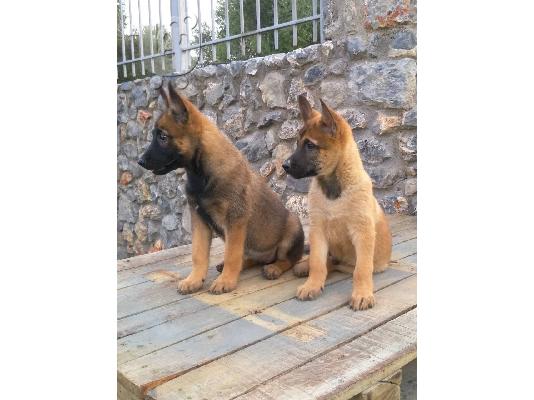 PoulaTo: Έπιπλα Εξωτερικού Χώρου Ναύπλιο 211.01.26.942 Outdoor Furniture Nafplio Επιπλα Εξωτερικου Χωρου Ναύπλιο ΕΠΙΠΛΑ ΕΞΩΤΕΡΙΚΟΥ ΧΩΡΟΥ ΝΑΎΠΛΙΟ OUTDOOR FURNITURE NAFPLIO MOBILIER DE JARDIN NAFPLIO
