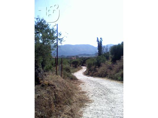 Oικοπεδο 2000τμ. Ζακυνθο