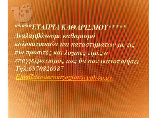 PoulaTo: Εταιρεία καθαρισμού