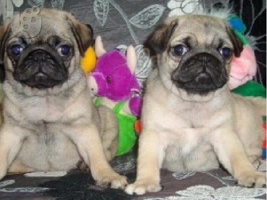 MOPS
