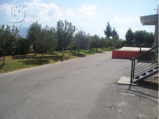 άριστος αποθηκευτικός χώρος, εννέα μέτρα ύψος, ράμπα φορτοεκφ/σης...