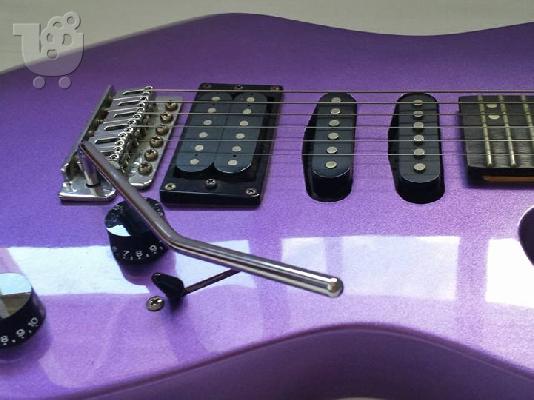 Washburn WR150 + softcase