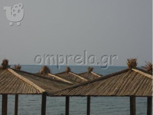 ΟΜΠΡΕΛΕΣ ΨΑΘΙΝΕΣ ΠΑΡΑΛΙΑΣ, ΟΜΠΡΕΛΕΣ ΘΑΛΑΣΣΗΣ ΑΠΟ ΚΑΛΑΜΙ, ΞΑΠΛΩΣΤΡΕΣ...