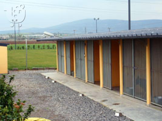 DOGVILLE ΞΕΝΟΔΟΧΕΙΑ ΣΚΥΛΩΝ ΚΑΙ ΜΙΚΡΩΝ ΖΩΩΝ Μαστίφ