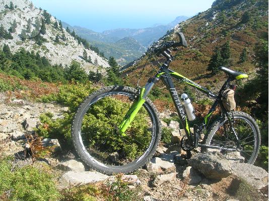PoulaTo: Fidusa Victeam