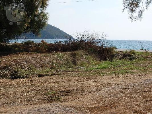 ΦΟΙΝΙΚΟΥΝΤΑ-ΛΟΥΤΣΑ,ΜΕΣΣΗΝΙΑΣ!!!! KFEL-5763A1 ΜΕΓΑΛΗ ΕΥΚΑΙΡΙΑ ΕΠΕΝΔΥΣΗΣ ΧΡΗΜΑΤΩΝ!!!...