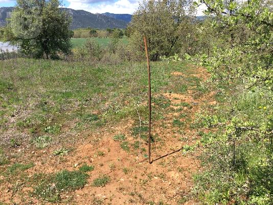ΠΩΛΕΙΤΑΙ ΑΓΡΟΤΕΜΑΧΙΟ 2,5 ΣΤΡΕΜΑΤΑ