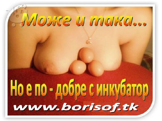 PoulaTo: Инкубатори - време е за люпене!!!