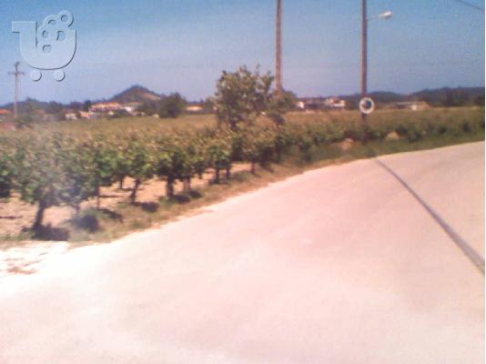 Αγροτεμαχιο 3000τμ. Ζακυνθος