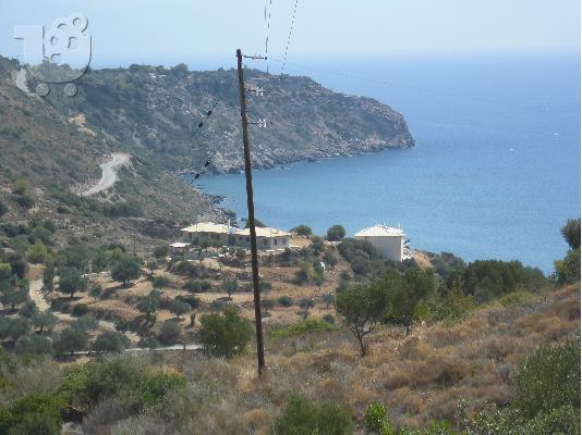 αγροτεμαχιο 14 στρεμματα