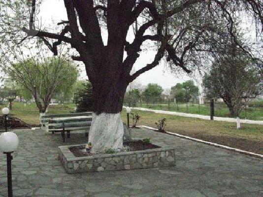 Μονοκατοικία, Ανατολικός Όλυμπος, Ενδιάμεσα Λεπτοκαρυά και Λιτόχωρο, προς πώληση...