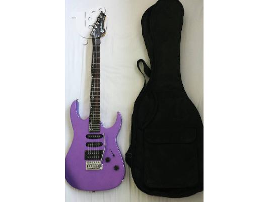 Washburn WR150 + softcase