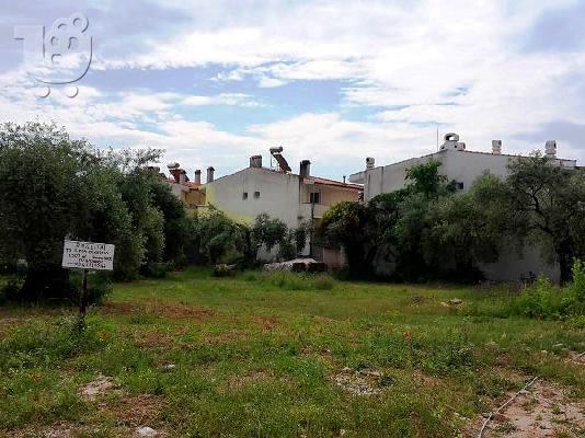 Πώληση οικοπέδου στην Σκάλα Ποταμιάς θάσου