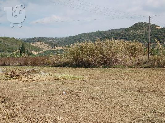 ΦΟΙΝΙΚΟΥΝΤΑ-ΛΟΥΤΣΑ,ΜΕΣΣΗΝΙΑΣ!!!! KFEL-5763A1 ΜΕΓΑΛΗ ΕΥΚΑΙΡΙΑ ΕΠΕΝΔΥΣΗΣ ΧΡΗΜΑΤΩΝ!!!...