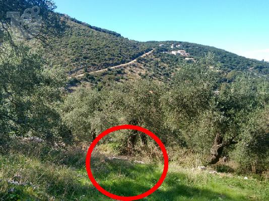 Πωλείται οικόπεδο παραθαλάσσιο στον Απραό