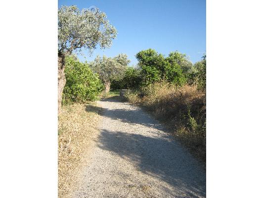 Πωλείται αγροτεμάχιο, περιοχή Γελινιατίκων Δήμου Ξυλοκάστρου...