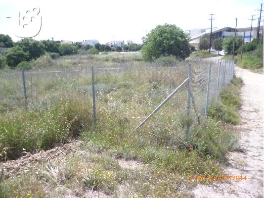 PoulaTo: κτήμα 4100 τ.μ με 50 ελαιόδεντρα στην Ρόδο