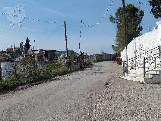 Πωληση μαρμαραδικου.