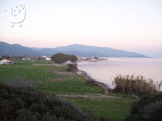 ΟΙΚΟΠΕΔΟ ΣΤΟΝ ΜΕΣΟΚΑΜΠΟ ΣΑΜΟΥ