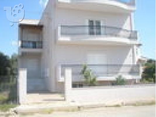 PoulaTo: επιπλωμένη γκαρσονιέρα κοντά στο ΤΕΙ Ψαχνών