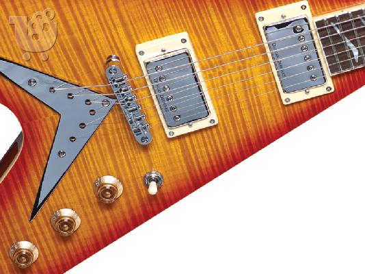 Hamer Vector
