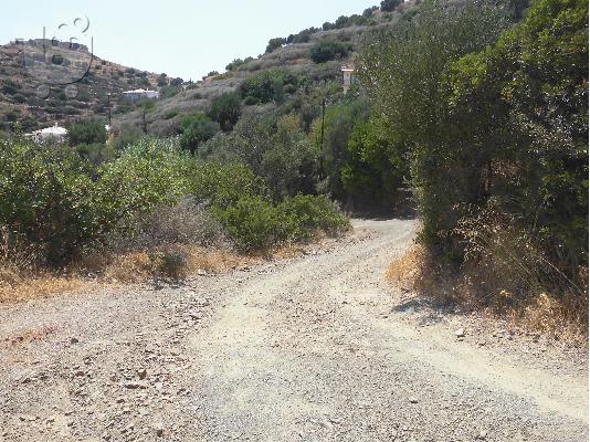 αγροτεμαχιο 14 στρεμματα