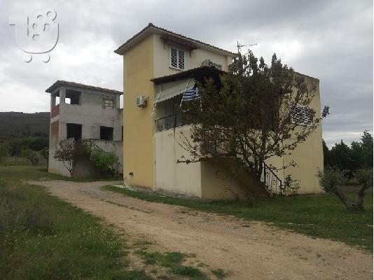 ΜΕΖΟΝΕΤΕΣ στην ΣΟΥΡΩΤΗ Θεσσαλονίκης