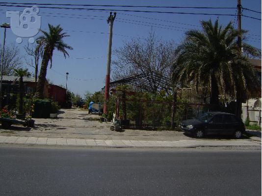 Φυτώριο με θερμοκήπια αποθήκη και εμπόρευμα