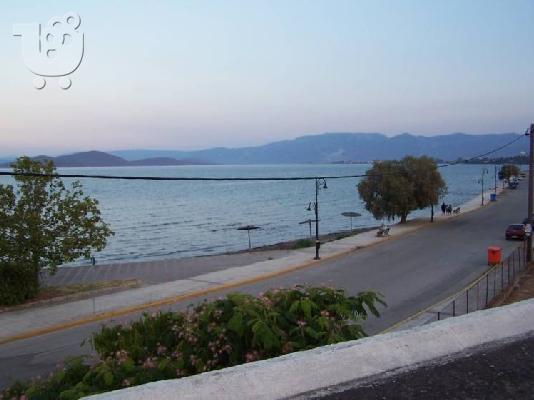 Ενοικιαζόμενες γκαρσονιέρες Ζάχαρη, Λιβανάτες
