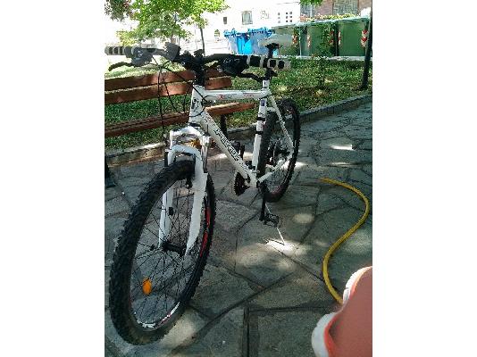 Force energy highlight design mtb
