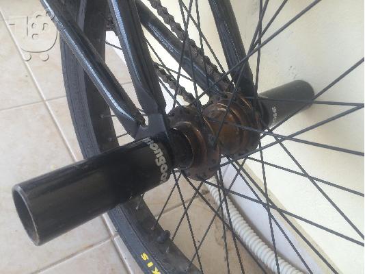 Mongoose