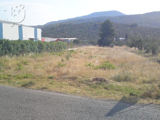 PoulaTo: ΠΩΛΕΙΤΑΙ ΟΙΚΟΠΕΔΟ 2200ΤΕΤΡ ΣΤΗ ΔΡΟΣΙΑ ΧΑΛΚΙΔΑΣ ΤΗΛ 6977635500