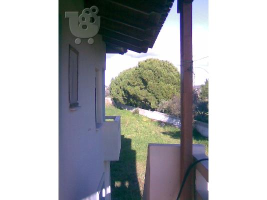 Μονοκατοικια στη Θαλασσα σε 4,5 στρεμ οικοπεδο ευβοια...