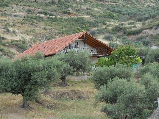 PoulaTo: Άκρατα Bούτσιμο, οικία 160 τ.μ., σε κτήμα  5 στρ.