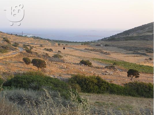 PAROS LAND FOR SALE 