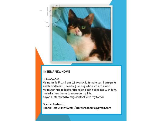 PoulaTo: I NEED A NEW HOME