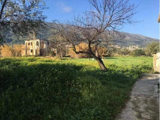 Πωλείται οικόπεδο 2 στρέμματα στη περιοχή του Παντοκράτωρα....