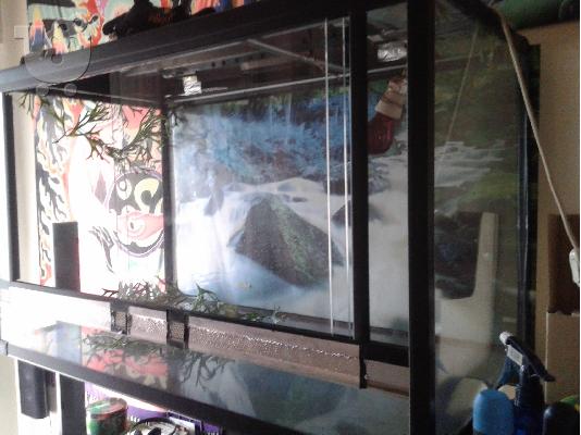 terrarioum