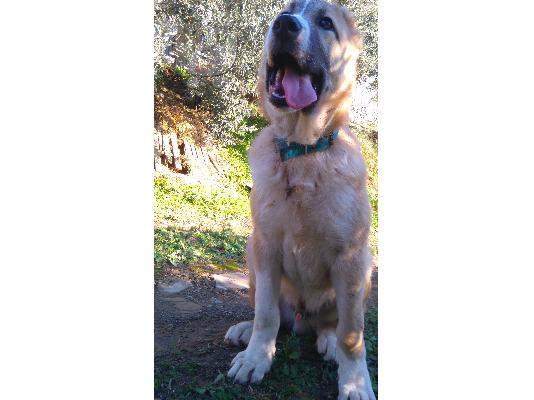 ΕΝΟΙΚΙΑΣΗ ΔΙΑΜΕΡΙΣΜΑΤΟΣ