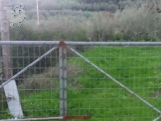 Πωλείται οικόπεδο στην Ζάκυνθο μέσο γερακαρι αλυκές 4 στρέμματα...