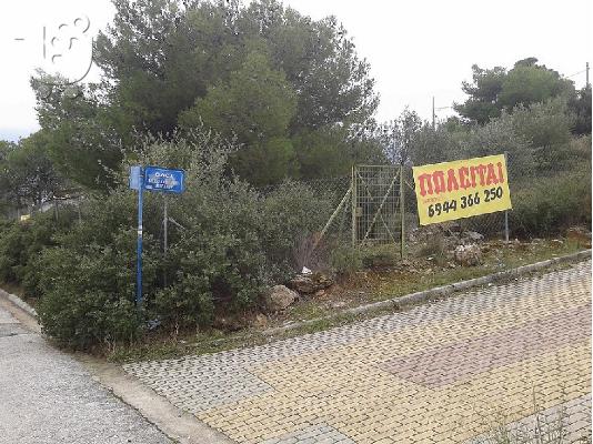 PoulaTo: Αγροτεμάχιο στα Γλυκά Νερά