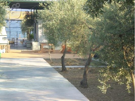 PoulaTo: Παραθαλάσσιο οικόπεδο με μπαλκόνι