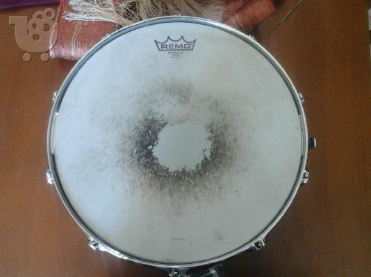 snare drum session elite pearl