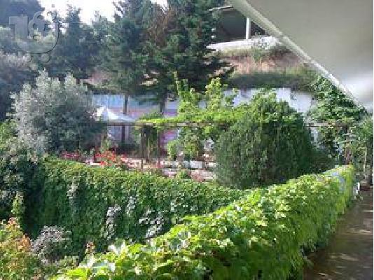 Εξοχική Κατοικία Αγιοι Απόστολοι