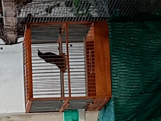 Αιδόνι