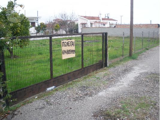 ΟΙΚΟΠΕΔΟ 850ΤΜ ΣΤΟΝ ΜΩΛΟ ΦΘΟΙΩΤΙΔΟΣ