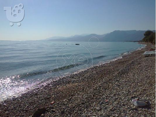 ΠΩΛΕΙΤΑΙ ΟΙΚΟΠΕΔΟ ΣΤΗΝ ΤΕΜΕΝΗ ΑΙΓΙΟΥ