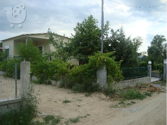 ΠΩΛΗΣΗ ΕΞΟΧΙΚΗΣ ΚΑΤΟΙΚΙΑΣ ΣΤΑ ΜΑΣΑΓΓΑΛΑ ΛΑΡΙΣΑΣ